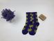 Носки HUF Plantilife - высокие - фиолетовые (терракотовый лист)