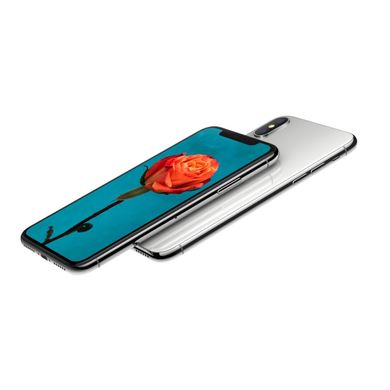 Смартфон Apple iPhone X 256GB Silver (MQAG2)